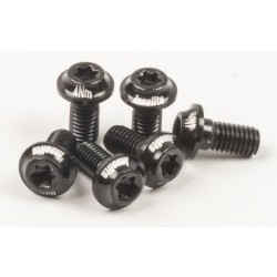 Skruvkit M5x10mm Torx 20